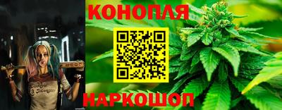 мдпв Краснодар