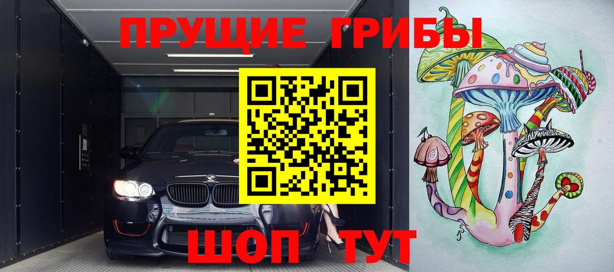 Галлюциногенные грибы Cubensis  Псилоцибиновые грибы Cubensis  Качканар  Вход с VPN 