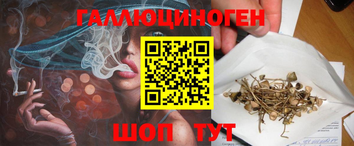 Псилоцибиновые грибы мухоморы Качканар
